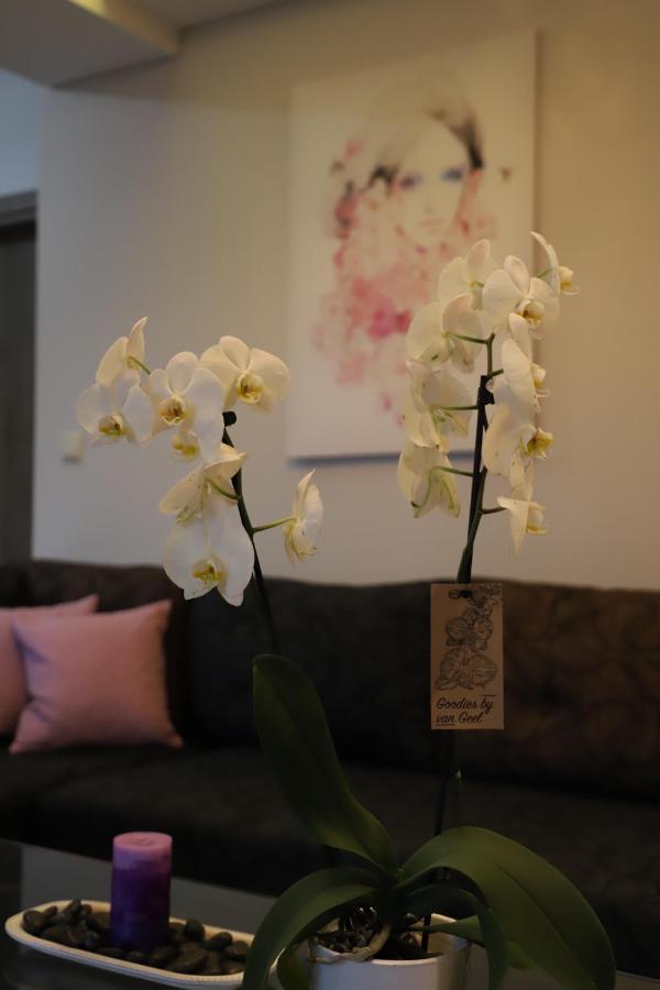 Deluxe Apartments Andreas Limenaria  Luaran gambar